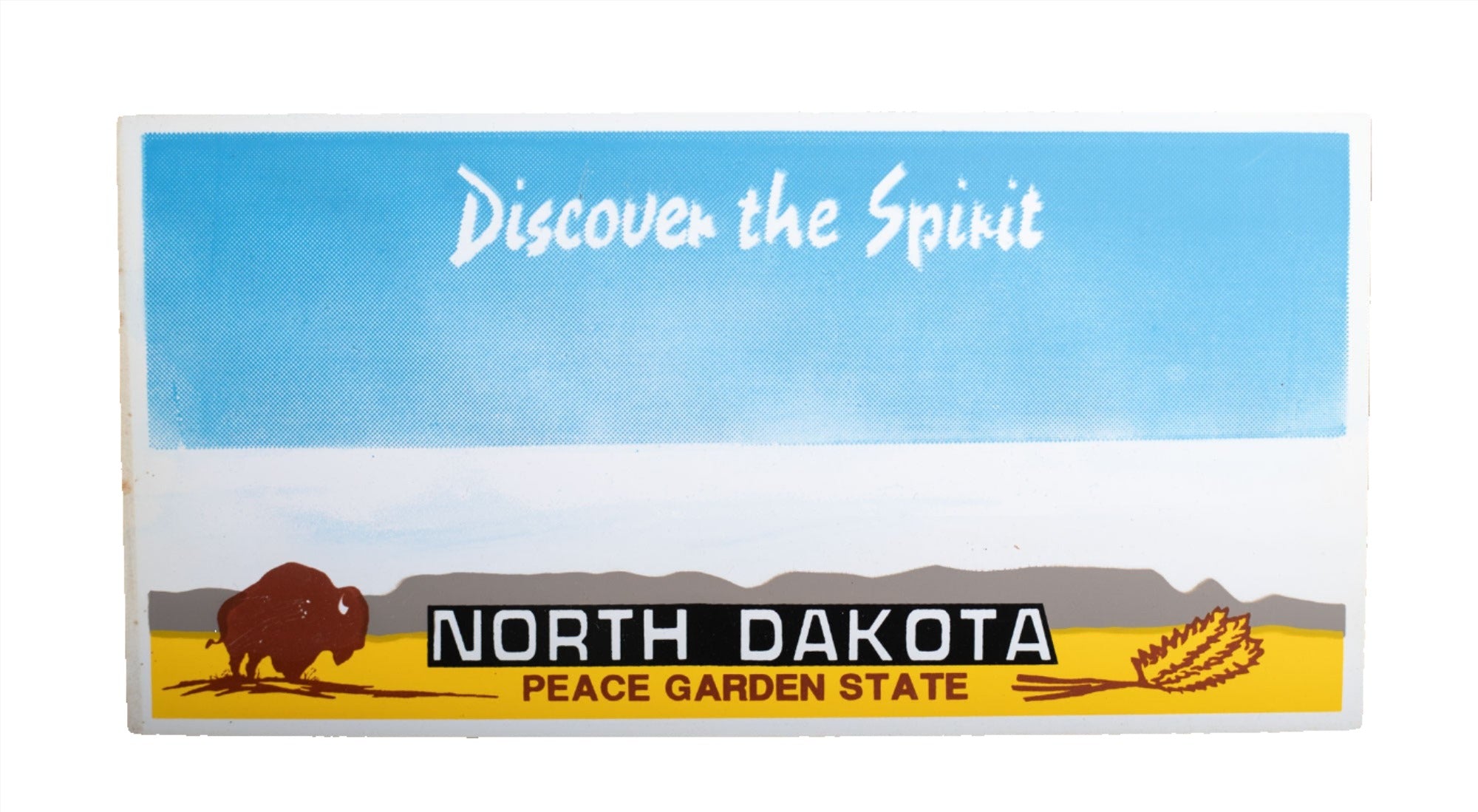 Plastic State Novelty License Plates