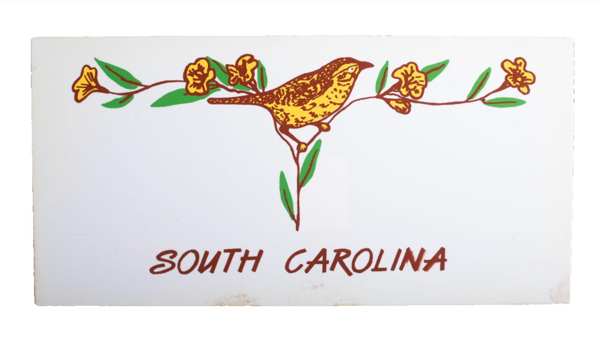Plastic State Novelty License Plates