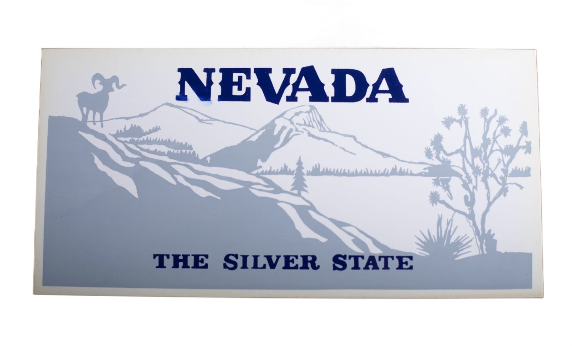 Plastic State Novelty License Plates