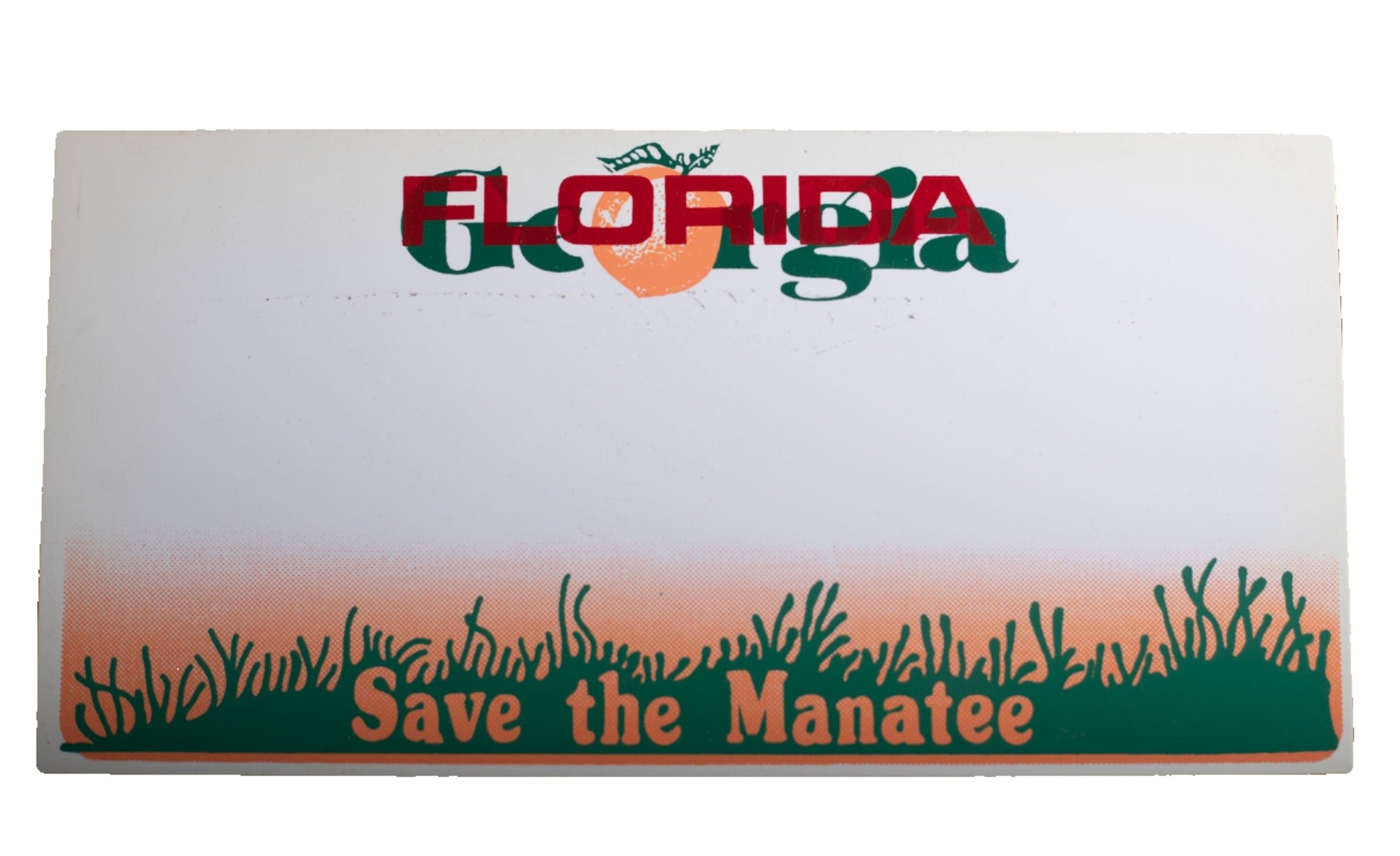 Plastic State Novelty License Plates