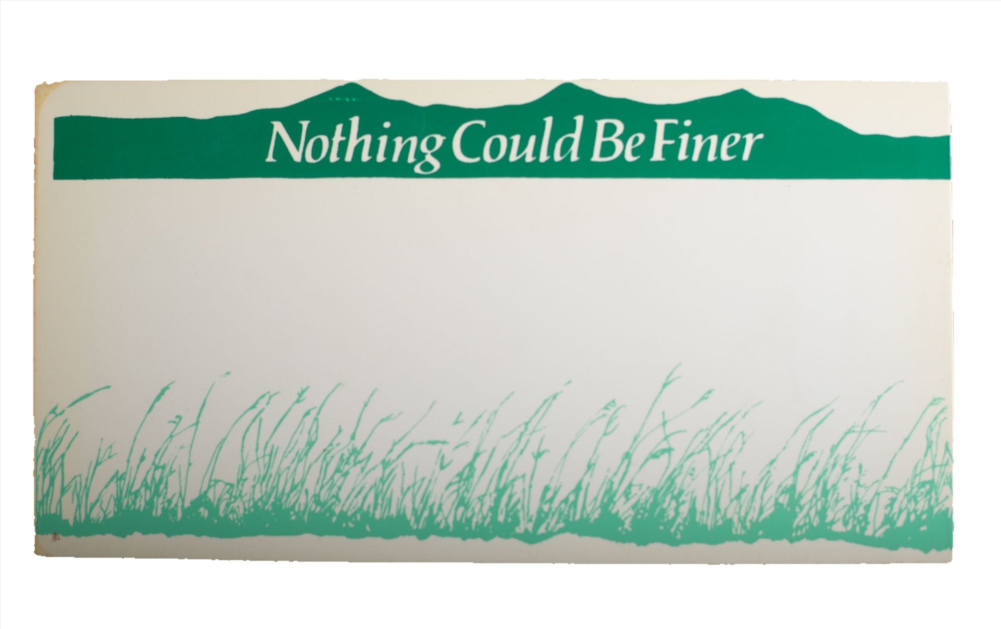 Plastic State Novelty License Plates