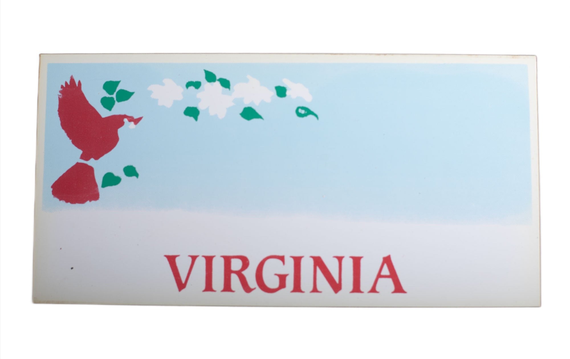 Plastic State Novelty License Plates