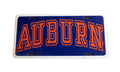 Plastic Auburn Novelty License Plate