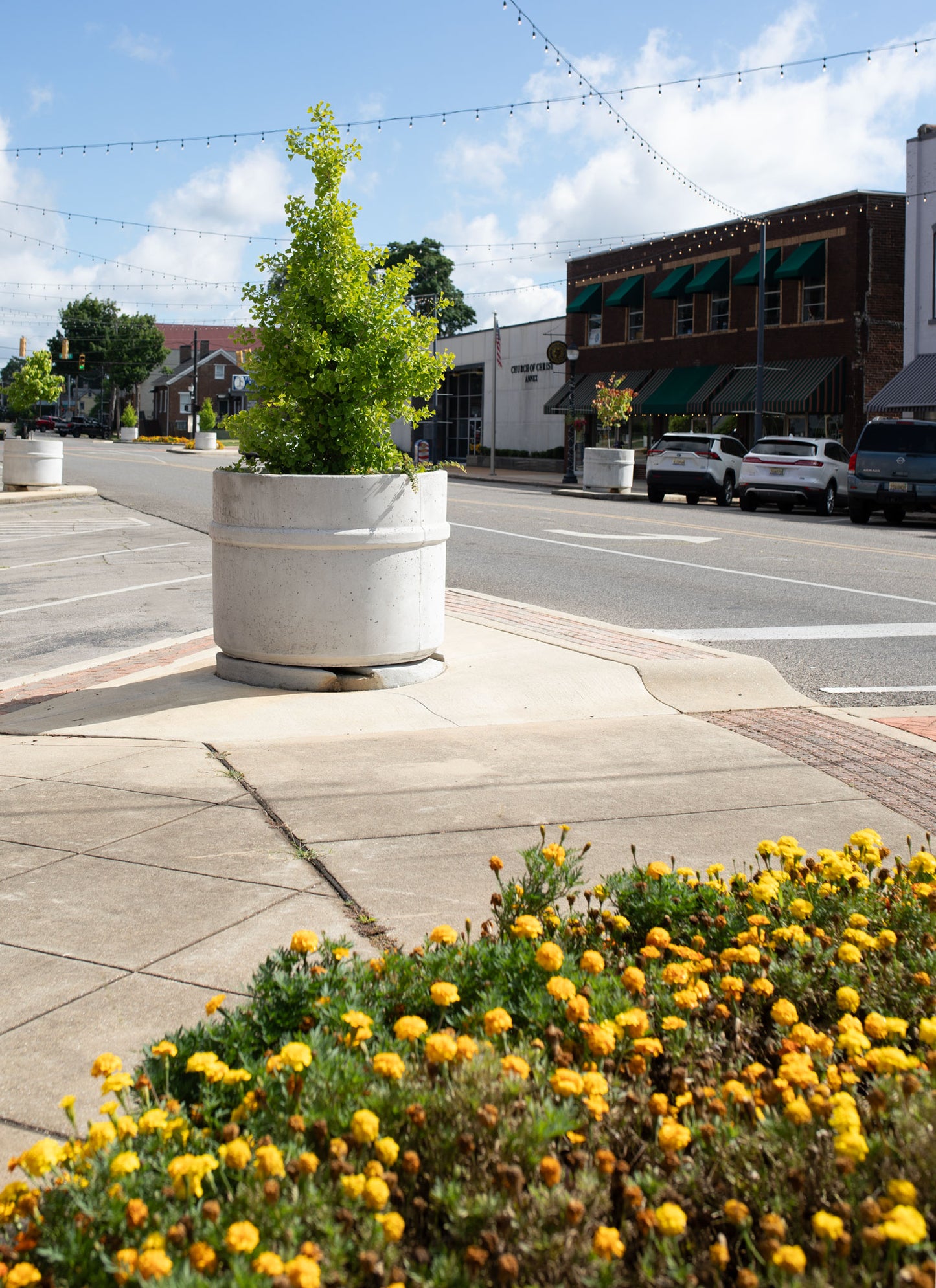 Concrete Tree Planter