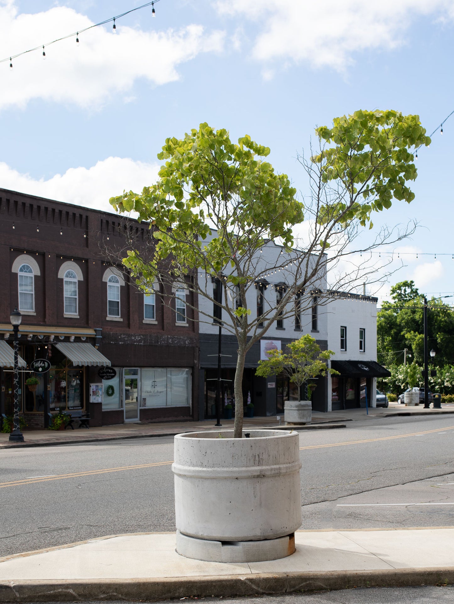 Concrete Tree Planter