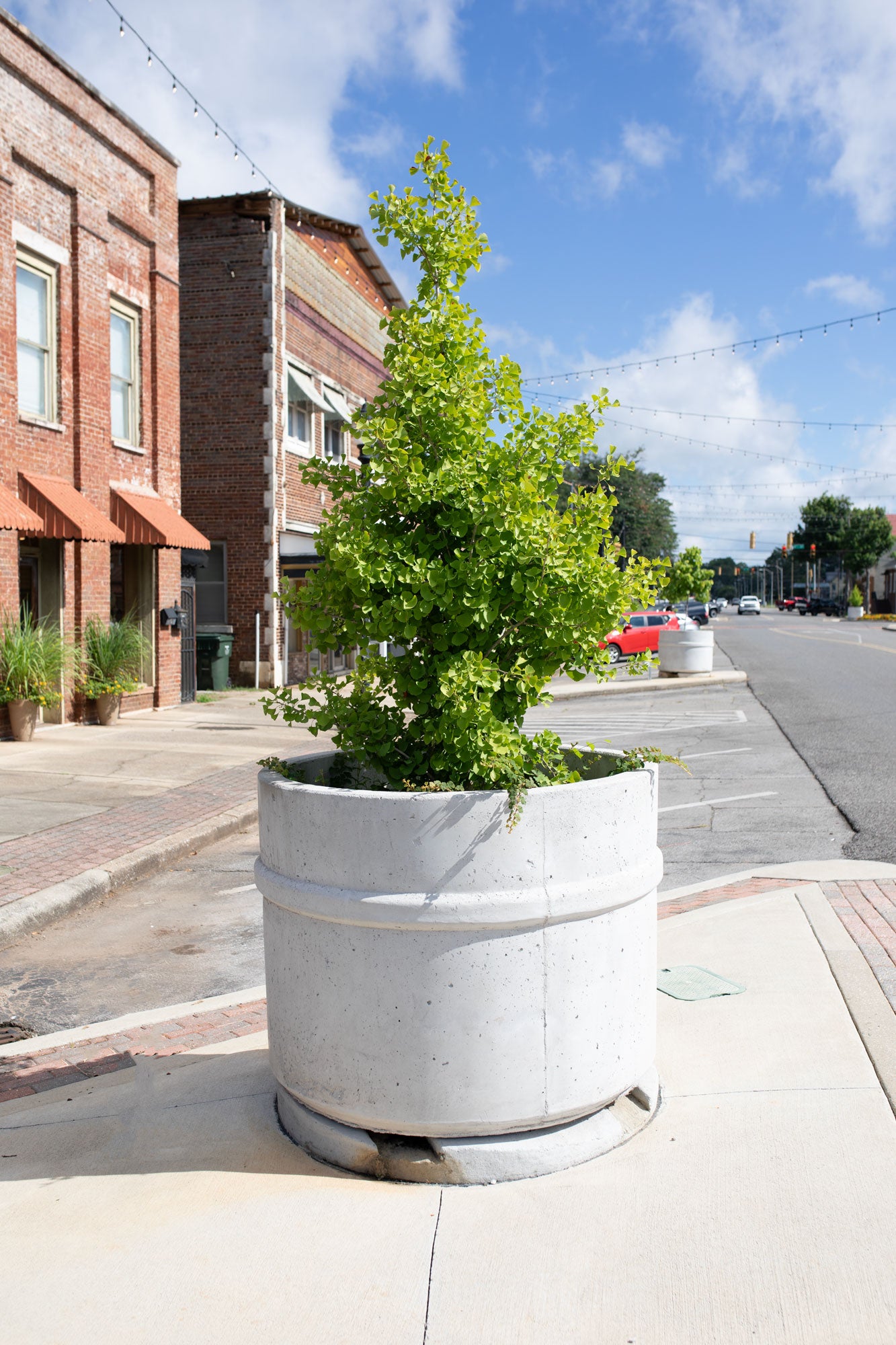 Concrete Tree Planter